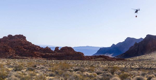 L.E. Baskow/Las Vegas Review-Journal/TNS